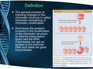 Definition
 The general process of
inducing changes in the
chromatin structure is called
chromatin remodeling or
chromatin modification.
 And hence the proteins
involved in the modification
of the chromatin structure
so that the transcription
factor and the RNA
Polymerase can get an
access to the promoter
DNA and make the gene
transcribable.
 
