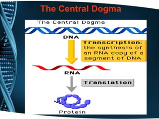 The Central Dogma
 