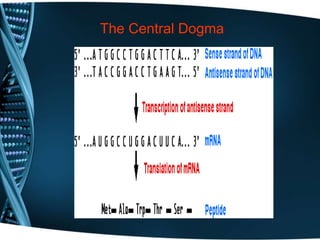 The Central Dogma
 
