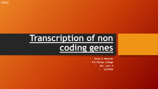 Transcription of non
coding genes
• Suraj. S. Mauryav
• R.k.Talreja College
• Msc – part ll
• 2227005
Gshaj
 