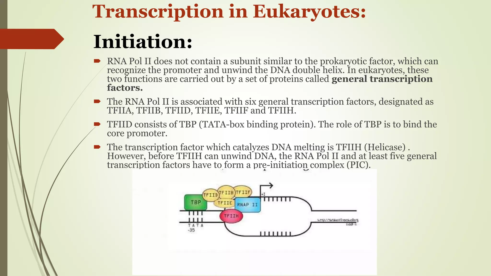Transcription in Pro- & eukaryotes | PPTX