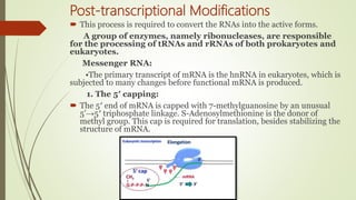 Transcription in Pro- & eukaryotes | PPTX