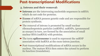 Transcription in Pro- & eukaryotes | PPTX