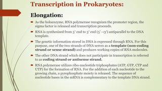 Transcription in Pro- & eukaryotes | PPTX