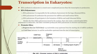 Transcription in Pro- & eukaryotes | PPTX