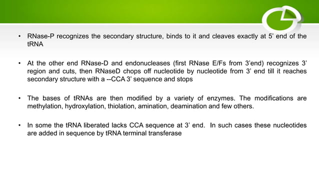 Transcription in prokaryotes:mRNA,rRNA and tRNA transcription. | PPT