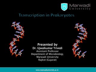 Presented by
Dr. Ujwalkumar Trivedi
Assistant Professor
Department of Microbiology
Marwadi University
Rajkot (Gujarat)
 