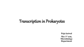 Transcription in Prokaryotes
Puja katwal
Msc 1st sem,
Microbiology
Department
 