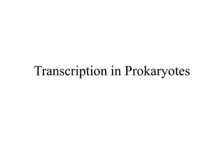 Transcription in Prokaryotes
 