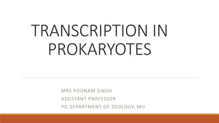 TRANSCRIPTION IN
PROKARYOTES
MRS POONAM SINGH
ASSISTANT PROFESSOR
PG DEPARTMENT OF ZOOLOGY, MU
 