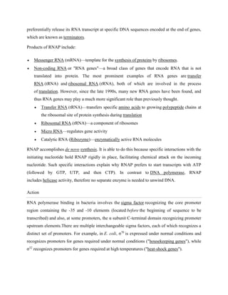 transcription in prokaryotes and RNA polymerase of prokaryotes | DOCX