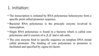 Comprehensive Overview of Prokaryotic Transcription Mechanisms and ...