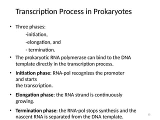 Comprehensive Overview of Transcription in Prokaryotes: Mechanisms and ...
