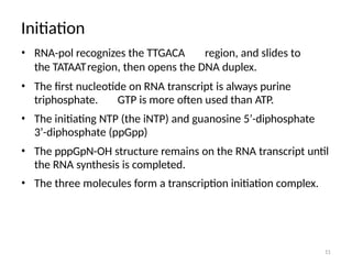 Rna Ntp Comprehensive Overview of Transcription in Prokaryotes: Mechanisms and ...