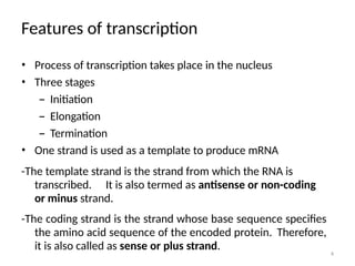 Comprehensive Overview of Transcription in Prokaryotes: Mechanisms and ...