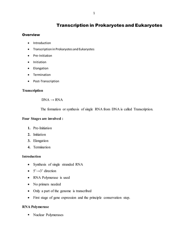 Transcription in prokaryotes and eukaryotes | DOCX | Chemistry | Science
