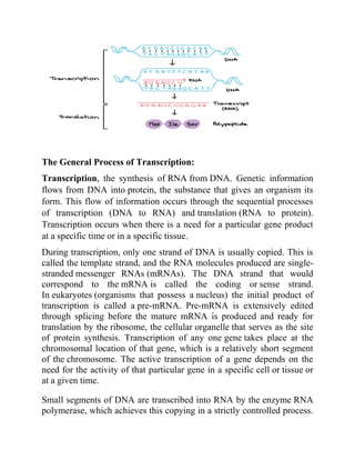 Transcription in prokaryotes and eukaryotes.pdf