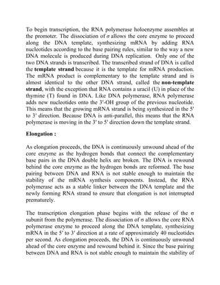 Transcription in prokaryotes and eukaryotes.pdf