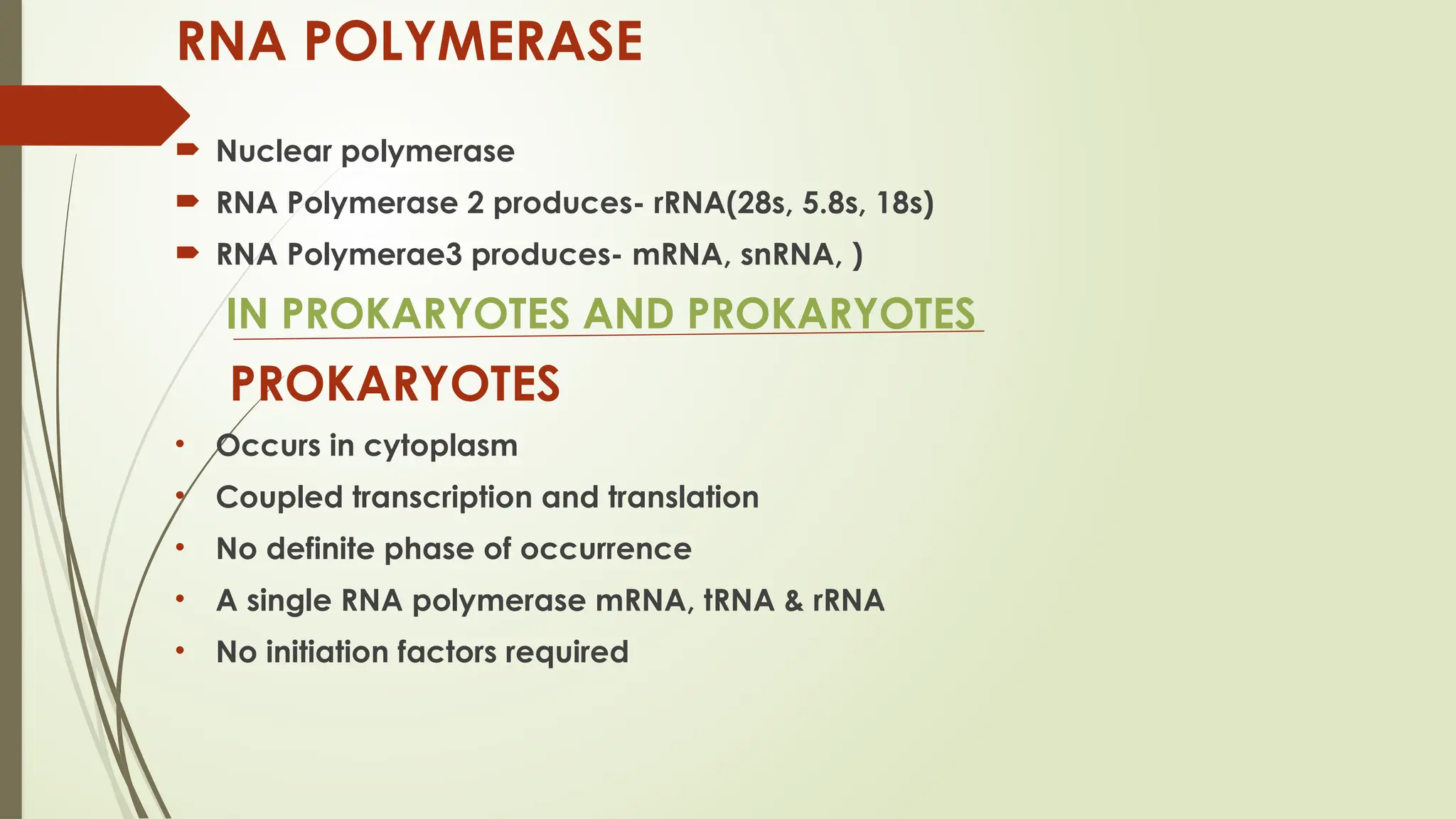 TRANSCRIPTION IN PROKARYOTES AND EUKARYOTES | PPTX