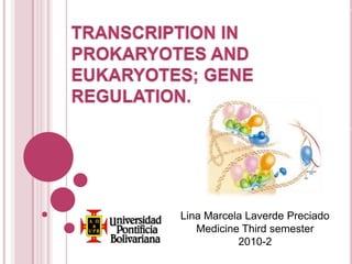 Transcription in prokaryotes and eukaryotes; gene Regulation.  Lina Marcela Laverde Preciado Medicine Third semester 2010-2 