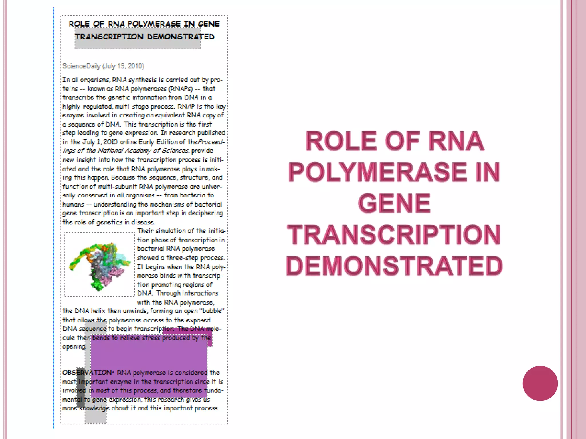 ROLE OF RNA POLYMERASE IN GENE TRANSCRIPTION DEMONSTRATED