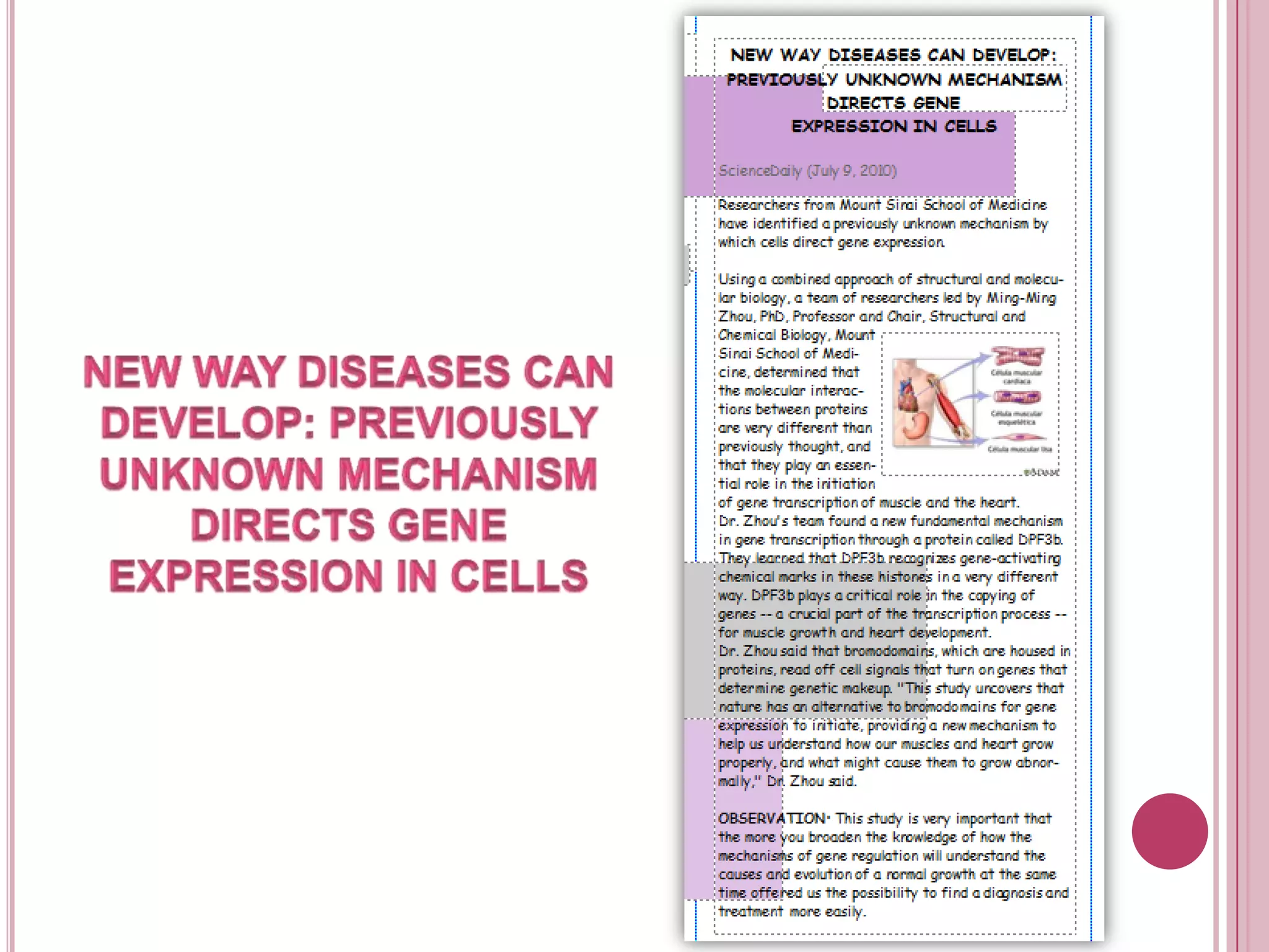 New waydiseases can develop: previouslyunknownmechanismdirects gene expression in cells