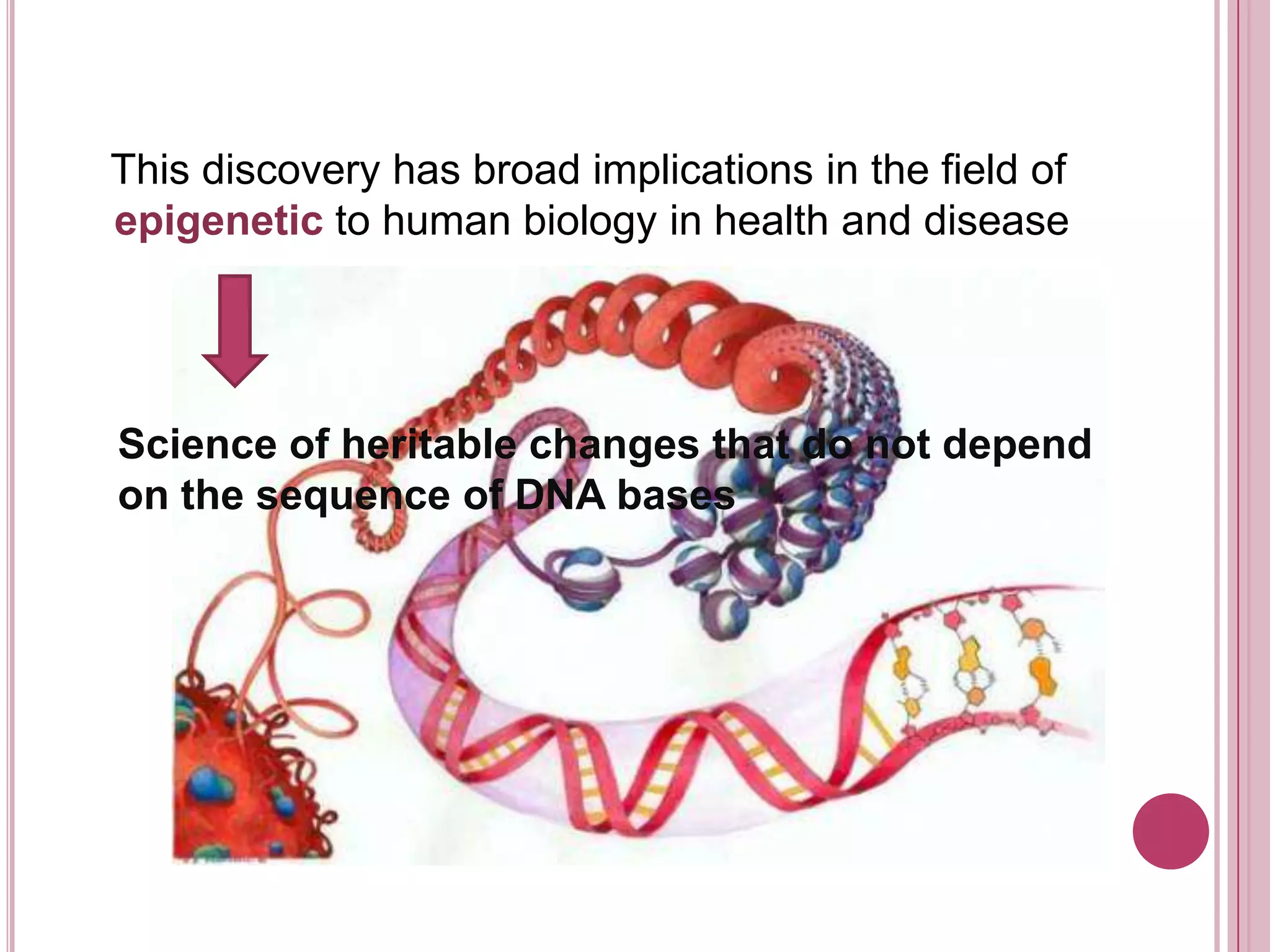    This discovery has broad implications in the field of epigenetic to human biology in health and diseaseScience of heritable changes that do not depend on the sequence of DNA bases