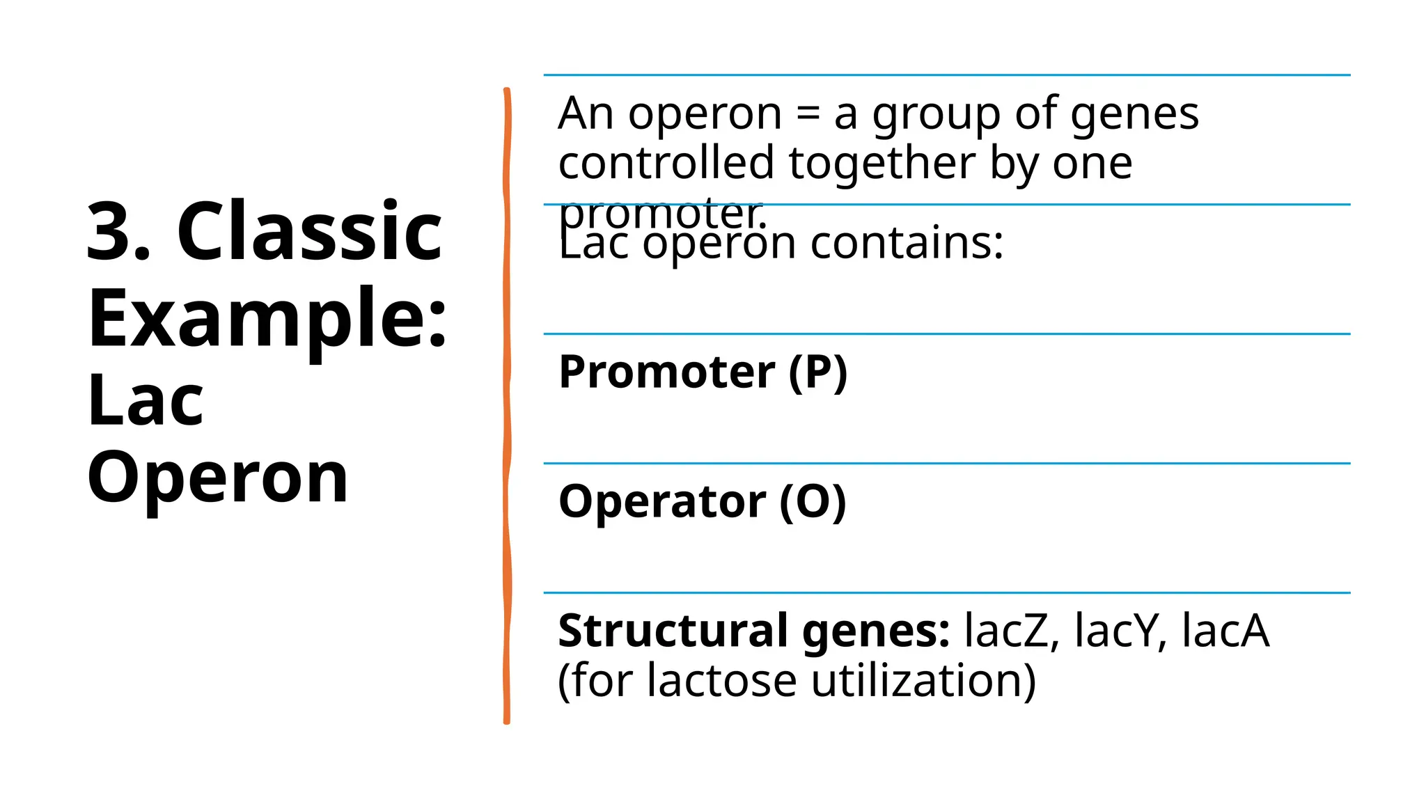 Transcription & its regulation in prokaryotes.pptx