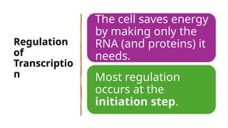Transcription & its regulation in prokaryotes.pptx