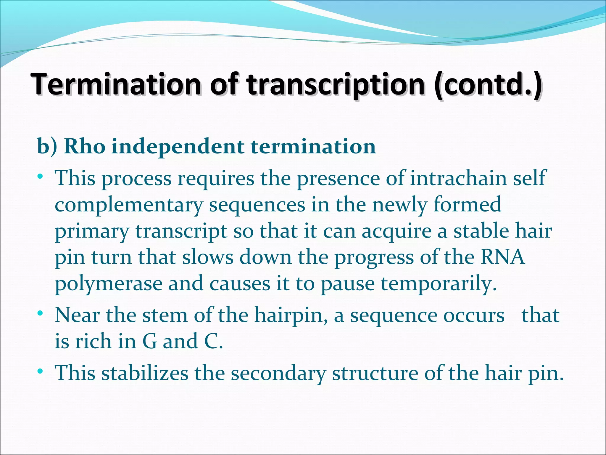 Termination of transcription (contd.)Termination of transcription (contd.)
b) Rho independent termination
• This process requires the presence of intrachain self
complementary sequences in the newly formed
primary transcript so that it can acquire a stable hair
pin turn that slows down the progress of the RNA
polymerase and causes it to pause temporarily.
• Near the stem of the hairpin, a sequence occurs that
is rich in G and C.
• This stabilizes the secondary structure of the hair pin.
 