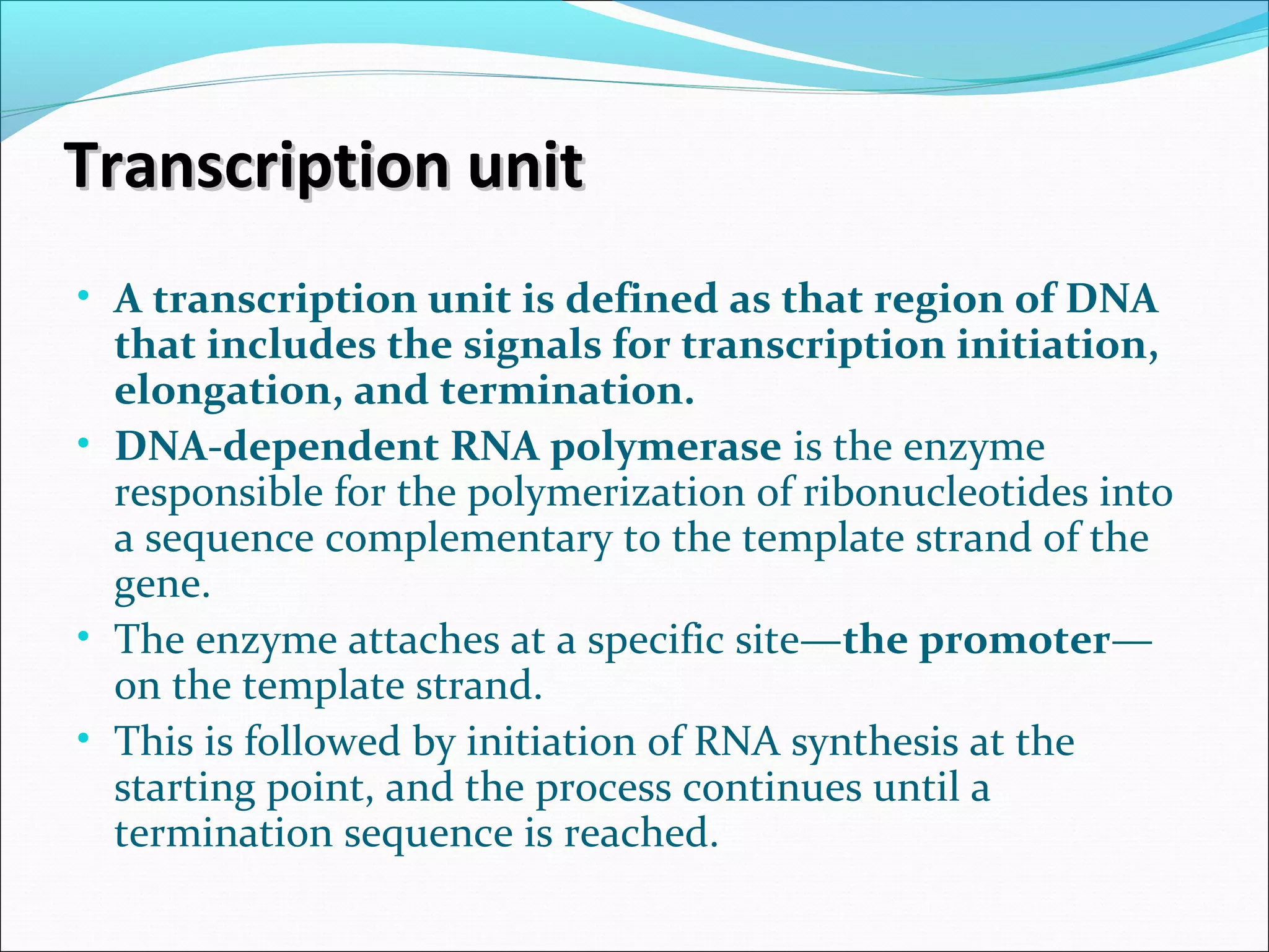 Transcription unitTranscription unit
• A transcription unit is defined as that region of DNA
that includes the signals for transcription initiation,
elongation, and termination.
• DNA-dependent RNA polymerase is the enzyme
responsible for the polymerization of ribonucleotides into
a sequence complementary to the template strand of the
gene.
• The enzyme attaches at a specific site—the promoter—
on the template strand.
• This is followed by initiation of RNA synthesis at the
starting point, and the process continues until a
termination sequence is reached.
 