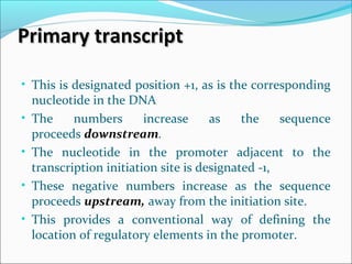 • This is designated position +1, as is the corresponding
nucleotide in the DNA
• The numbers increase as the sequence
proceeds downstream.
• The nucleotide in the promoter adjacent to the
transcription initiation site is designated -1,
• These negative numbers increase as the sequence
proceeds upstream, away from the initiation site.
• This provides a conventional way of defining the
location of regulatory elements in the promoter.
Primary transcriptPrimary transcript
 