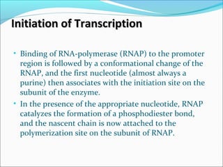 Initiation of TranscriptionInitiation of Transcription
• Binding of RNA-polymerase (RNAP) to the promoter
region is followed by a conformational change of the
RNAP, and the first nucleotide (almost always a
purine) then associates with the initiation site on the
subunit of the enzyme.
• In the presence of the appropriate nucleotide, RNAP
catalyzes the formation of a phosphodiester bond,
and the nascent chain is now attached to the
polymerization site on the subunit of RNAP.
 