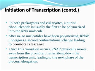 Initiation of Transcription (contd.)Initiation of Transcription (contd.)
• In both prokaryotes and eukaryotes, a purine
ribonucleotide is usually the first to be polymerized
into the RNA molecule.
• After 10–20 nucleotides have been polymerized, RNAP
undergoes a second conformational change leading
to promoter clearance.
• Once this transition occurs, RNAP physically moves
away from the promoter, transcribing down the
transcription unit, leading to the next phase of the
process, elongation.
 
