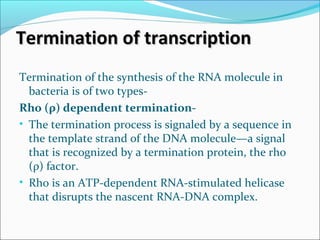Termination of transcriptionTermination of transcription
Termination of the synthesis of the RNA molecule in
bacteria is of two types-
Rho (ρ) dependent termination-
• The termination process is signaled by a sequence in
the template strand of the DNA molecule—a signal
that is recognized by a termination protein, the rho
(ρ) factor.
• Rho is an ATP-dependent RNA-stimulated helicase
that disrupts the nascent RNA-DNA complex.
 