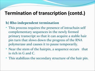 Termination of transcription (contd.)Termination of transcription (contd.)
b) Rho independent termination
• This process requires the presence of intrachain self
complementary sequences in the newly formed
primary transcript so that it can acquire a stable hair
pin turn that slows down the progress of the RNA
polymerase and causes it to pause temporarily.
• Near the stem of the hairpin, a sequence occurs that
is rich in G and C.
• This stabilizes the secondary structure of the hair pin.
 
