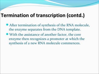 Termination of transcription (contd.)Termination of transcription (contd.)
After termination of synthesis of the RNA molecule,
the enzyme separates from the DNA template.
With the assistance of another factor, the core
enzyme then recognizes a promoter at which the
synthesis of a new RNA molecule commences.
 