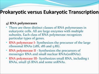 Prokaryotic versus Eukaryotic TranscriptionProkaryotic versus Eukaryotic Transcription
4) RNA polymerases
• There are three distinct classes of RNA polymerases in
eukaryotic cells. All are large enzymes with multiple
subunits. Each class of RNA polymerase recognizes
particular types of genes.
• RNA polymerase I- Synthesizes the precursor of the large
ribosomal RNAs (28S, 18S and 5.8S).
• RNA polymerase II - Synthesizes the precursors of
messenger RNA and small nuclear RNAs(snRNAs).
• RNA polymerase III- Synthesizes small RNA, including t
RNAs, small 5S RNA and some snRNAs.
 