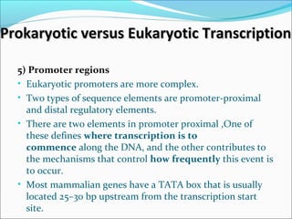 Prokaryotic versus Eukaryotic TranscriptionProkaryotic versus Eukaryotic Transcription
5) Promoter regions
• Eukaryotic promoters are more complex.
• Two types of sequence elements are promoter-proximal
and distal regulatory elements.
• There are two elements in promoter proximal ,One of
these defines where transcription is to
commence along the DNA, and the other contributes to
the mechanisms that control how frequently this event is
to occur.
• Most mammalian genes have a TATA box that is usually
located 25–30 bp upstream from the transcription start
site.
 