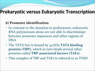 Prokaryotic versus Eukaryotic TranscriptionProkaryotic versus Eukaryotic Transcription
6) Promoter identification
• In contrast to the situation in prokaryotes, eukaryotic
RNA polymerases alone are not able to discriminate
between promoter sequences and other regions of
DNA
• The TATA box is bound by 34 kDa TATA binding
protein (TBP), which in turn binds several other
proteins called TBP-associated factors (TAFs).
• This complex of TBP and TAFs is referred to as TFIID
 
