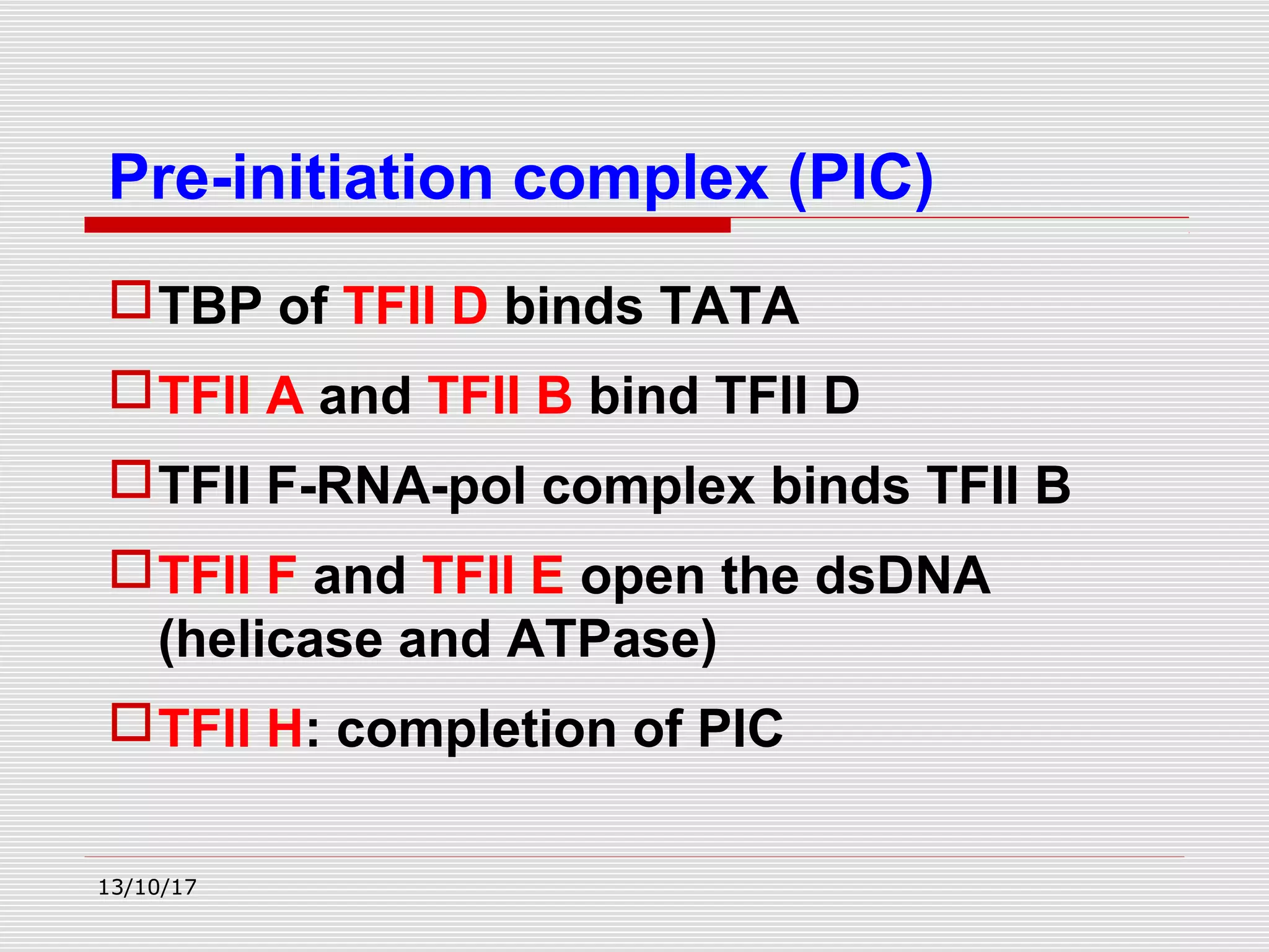 TBP of TFII D binds TATA
TFII A and TFII B bind TFII D
TFII F-RNA-pol complex binds TFII B
TFII F and TFII E open the dsDNA
(helicase and ATPase)
TFII H: completion of PIC
Pre-initiation complex (PIC)
13/10/17
 