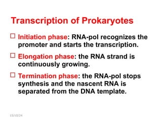 transcription mechanism and machinery involved in mRNA formation | PPT