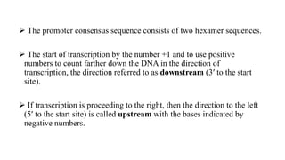 TRANSCRIPTION OF PROKARYOT MOLECULARES.pptx