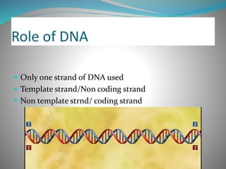 Transcription ppt | PPT