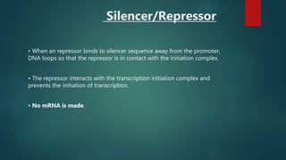 Transcription presentation | PPTX