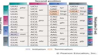 Datamancer Opto Transcripticon Transcription presentation | PPTX