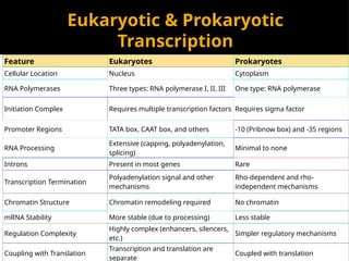 Eukaryotic & Prokaryotic
Transcription
Feature Eukaryotes Prokaryotes
Cellular Location Nucleus Cytoplasm
RNA Polymerases Three types: RNA polymerase I, II, III One type: RNA polymerase
Initiation Complex Requires multiple transcription factors Requires sigma factor
Promoter Regions TATA box, CAAT box, and others -10 (Pribnow box) and -35 regions
RNA Processing
Extensive (capping, polyadenylation,
splicing)
Minimal to none
Introns Present in most genes Rare
Transcription Termination
Polyadenylation signal and other
mechanisms
Rho-dependent and rho-
independent mechanisms
Chromatin Structure Chromatin remodeling required No chromatin
mRNA Stability More stable (due to processing) Less stable
Regulation Complexity
Highly complex (enhancers, silencers,
etc.)
Simpler regulatory mechanisms
Coupling with Translation
Transcription and translation are
separate
Coupled with translation
 