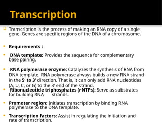 Transcription
 Transcription is the process of making an RNA copy of a single
gene. Genes are specific regions of the DNA of a chromosome.
 Requirements :
 DNA template: Provides the sequence for complementary
base pairing.
 RNA polymerase enzyme: Catalyzes the synthesis of RNA from
DNA template. RNA polymerase always builds a new RNA strand
in the 5’ to 3’ direction. That is, it can only add RNA nucleotides
(A, U, C, or G) to the 3' end of the strand.
 Ribonucleotide triphosphates (rNTPs): Serve as substrates
for building RNA strands.
 Promoter region: Initiates transcription by binding RNA
polymerase to the DNA template.
 Transcription factors: Assist in regulating the initiation and
rate of transcription.
 