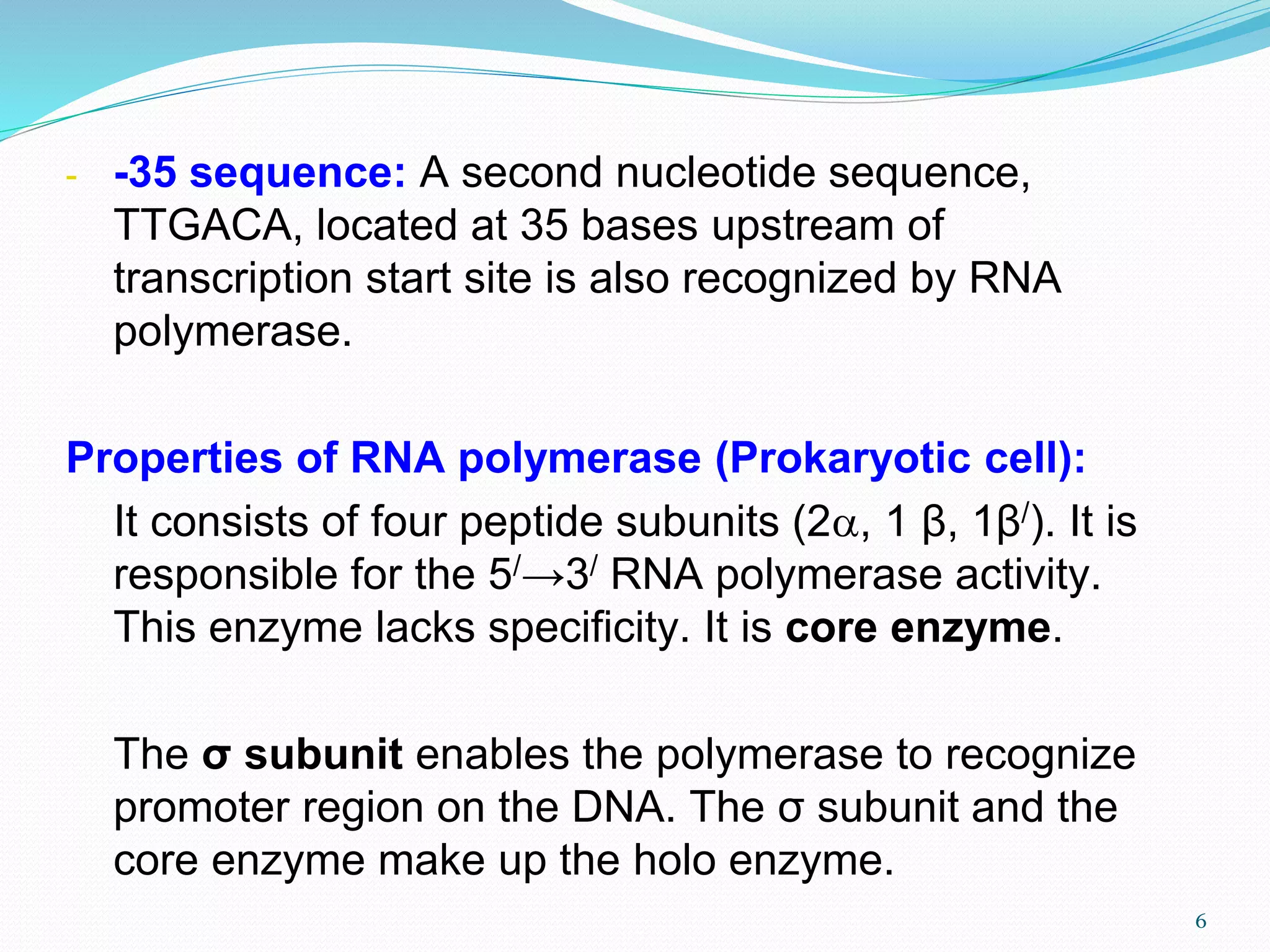 6
- -35 sequence: A second nucleotide sequence,
TTGACA, located at 35 bases upstream of
transcription start site is also recognized by RNA
polymerase.
Properties of RNA polymerase (Prokaryotic cell):
It consists of four peptide subunits (2, 1 β, 1β/). It is
responsible for the 5/→3/ RNA polymerase activity.
This enzyme lacks specificity. It is core enzyme.
The σ subunit enables the polymerase to recognize
promoter region on the DNA. The σ subunit and the
core enzyme make up the holo enzyme.
 
