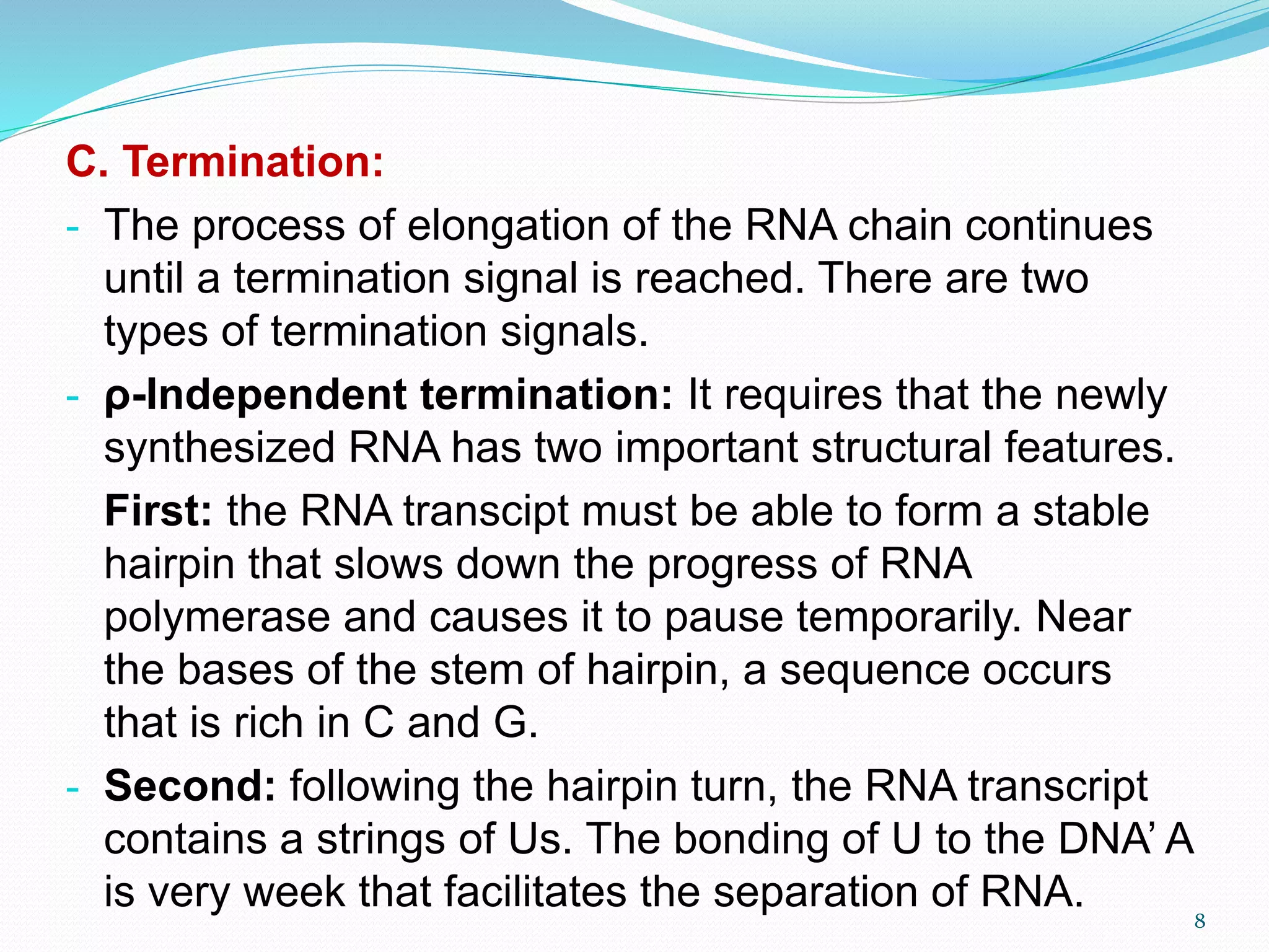 C. Termination:
- The process of elongation of the RNA chain continues
until a termination signal is reached. There are two
types of termination signals.
- ρ-Independent termination: It requires that the newly
synthesized RNA has two important structural features.
First: the RNA transcipt must be able to form a stable
hairpin that slows down the progress of RNA
polymerase and causes it to pause temporarily. Near
the bases of the stem of hairpin, a sequence occurs
that is rich in C and G.
- Second: following the hairpin turn, the RNA transcript
contains a strings of Us. The bonding of U to the DNA’ A
is very week that facilitates the separation of RNA. 8
 